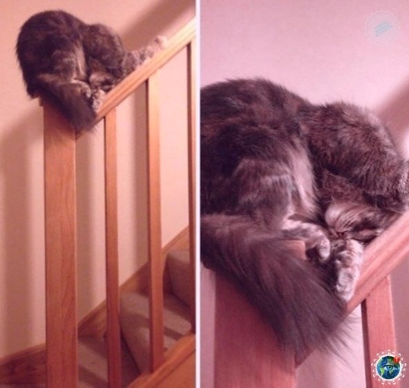   : e  - a  , e   e ! - 4