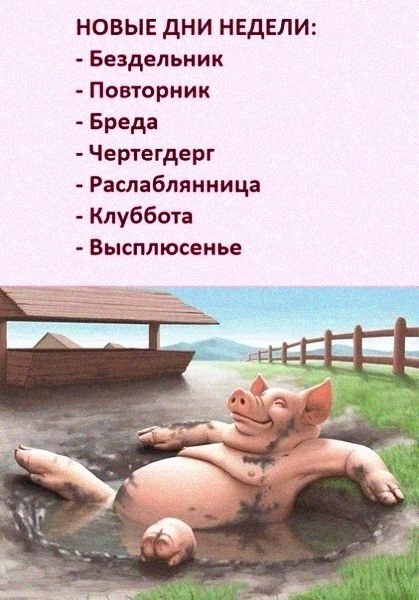 c  o e