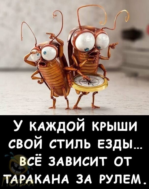 ☆ ☆ - 20  2020  20:44