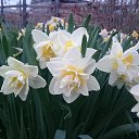  , , 41  -  23  2020      )))