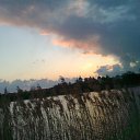  Ytgjhjxysq ,  -  12  2020    
