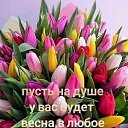���� �������, ������ - ��������� 30 ��� 2020 � ������ ���� ����������
