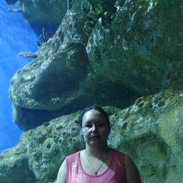 �����, ���������