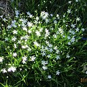 ���� ��������, Kouvola, 78 ��� - ��������� 2 ���� 2020 � ������ ������