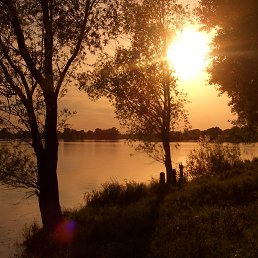 �����, ������-���