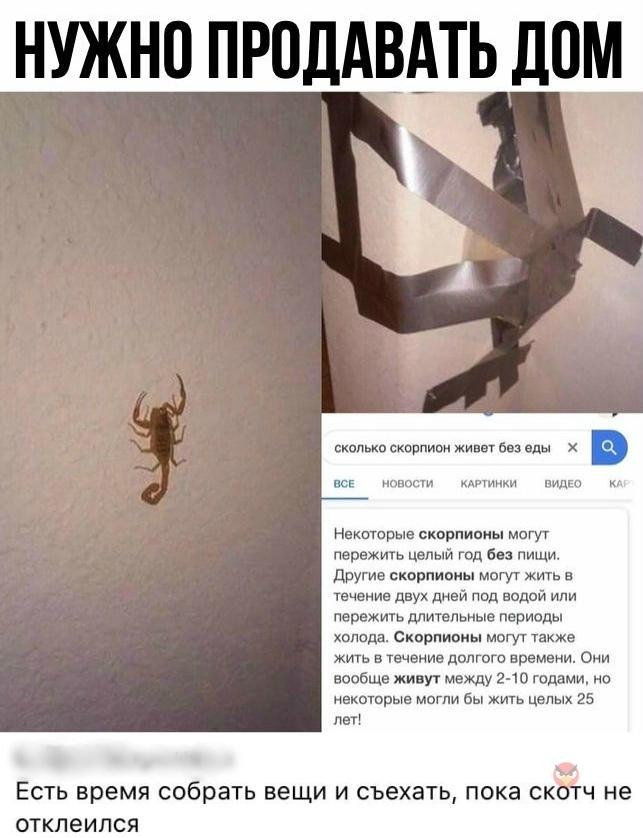 Сколько живут артемы