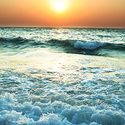 ���� �����, ������� - ��������� 16 ��� 2020