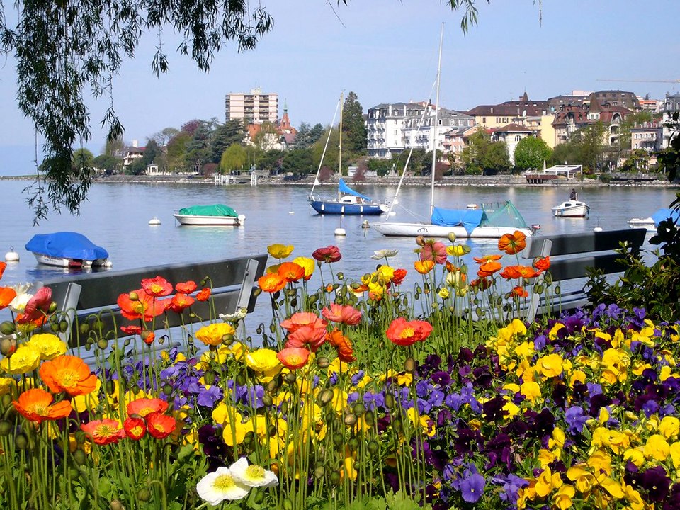 Ш (MONTREUX),.  25     ,     ... - 5