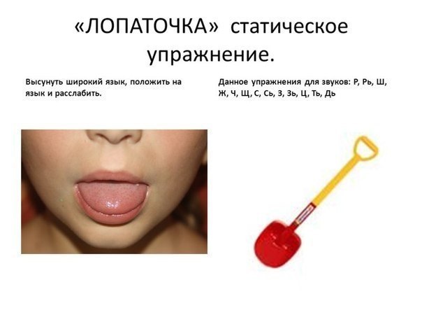  .      ... - 2