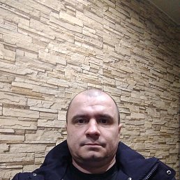 �����, ������, 48 ���