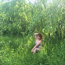 ���� ����, ��������� - ��������� 11 ���� 2020 � ������ ���� ����������