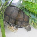  ••,  -  20  2020   