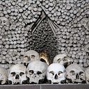 ���� �����, ����� - ��������� 17 ������� 2020 � ������ �������