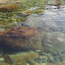 , ,07.07.20.9.15.    2020