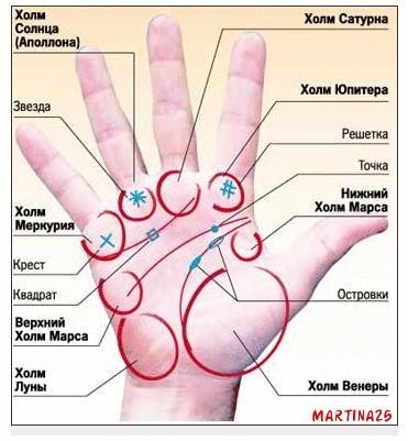75 способов определения болезни по руке. 1. Совершенно плоский холм Венеры и большая арка на первом ... - 2