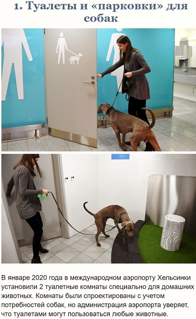 Интересные факты о Финляндии - стране, претендующей на звание самой комфортной для жизни