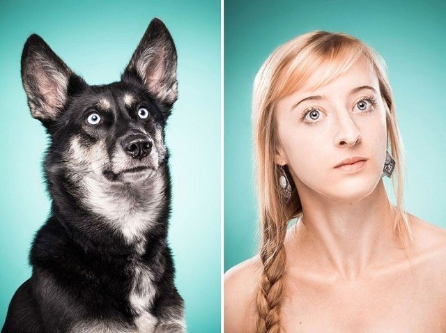 10     ,     .  The Dog People ... - 4