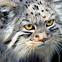 ���� Lara, ������� - ��������� 20 ����� 2020 � ������ �������