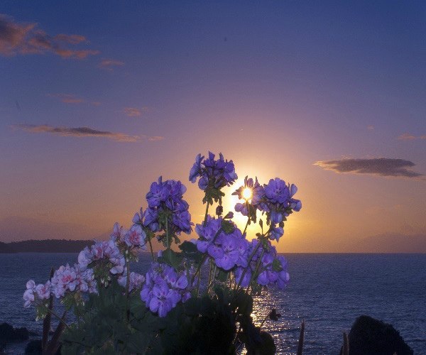 ��� - 17 ������ 2020 � 22:52