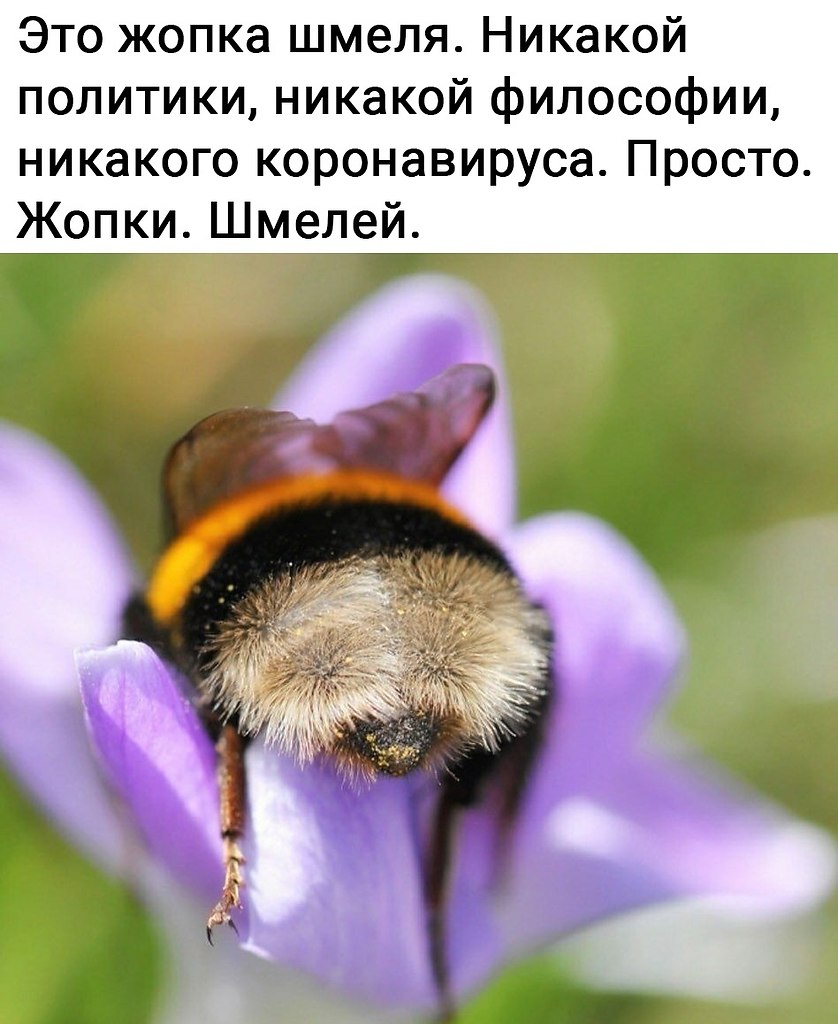 !
