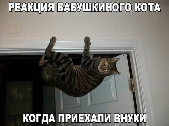 ��� �������� �������� - 23 ���� 2020 � 19:09