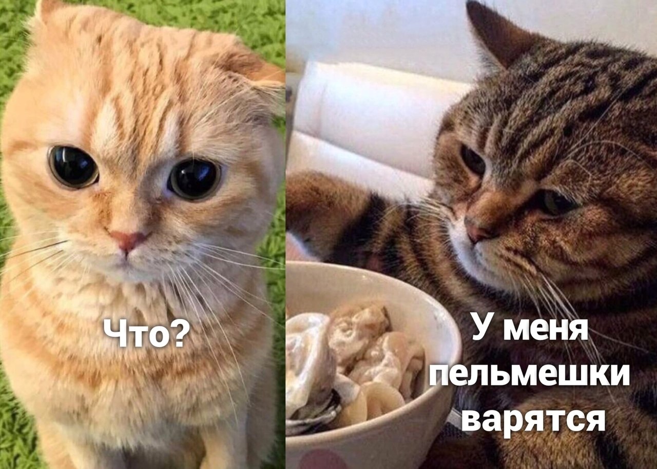 Bon Appetit |   - 16  2020  19:03 - 2