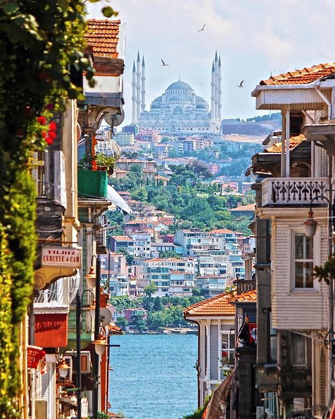 ���������� ����������� �������� ������� - 2