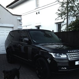 �����, ������ ��������, 35 ���