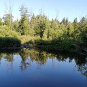 ���� �������, ������������ - ��������� 6 ���� 2020 � ������ ���� ����������