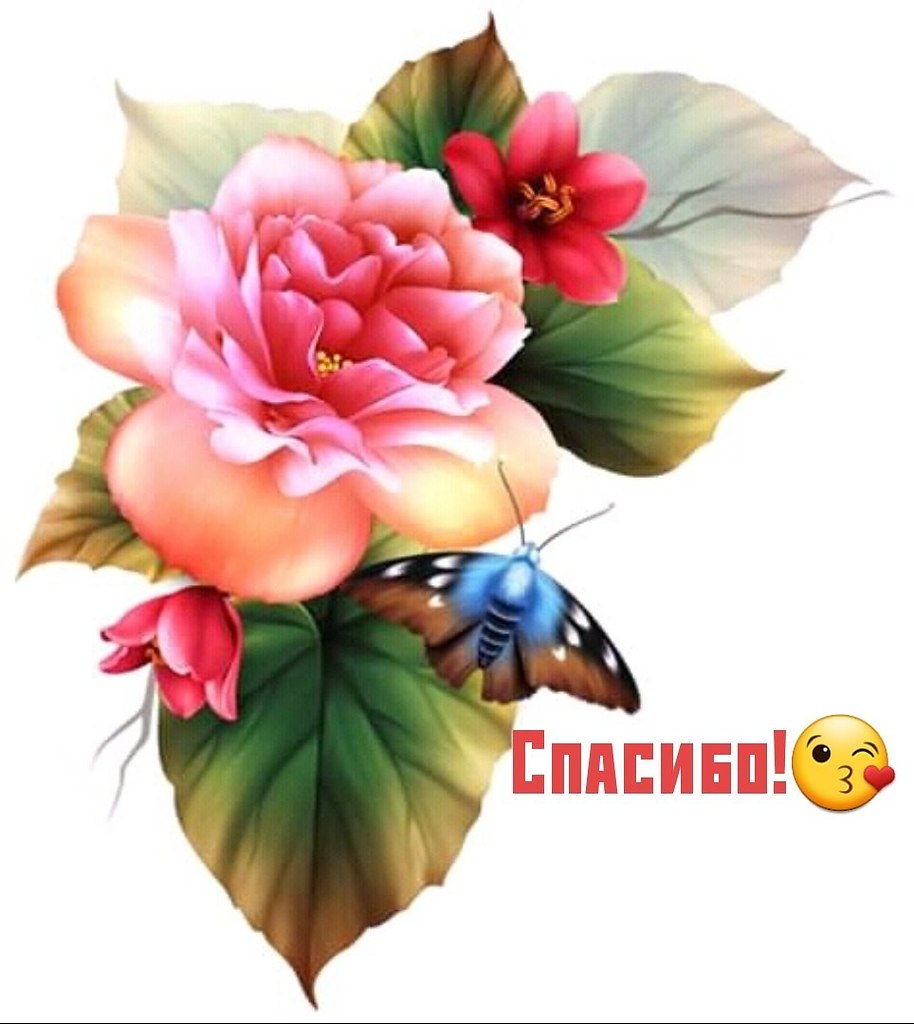   ,    . - 23  2020  21:04