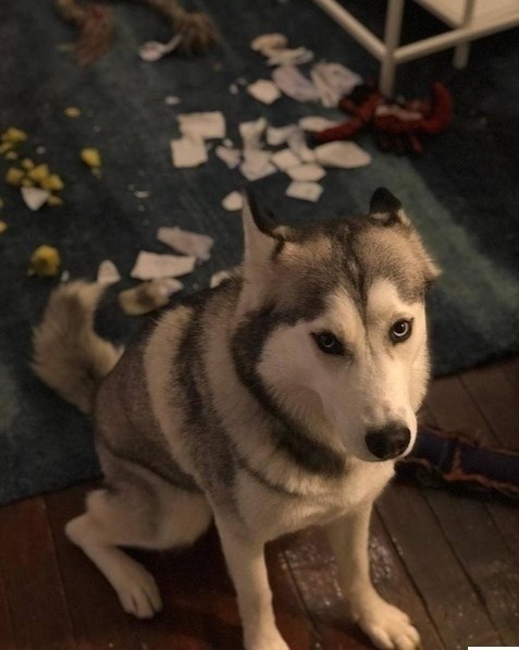�� ��� ��� �y�� ����� �a�����a��? - 3