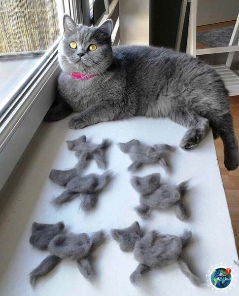 oa pepo ecae oe.# - 4