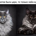 ���� ��������, ������ - ��������� 17 ���� 2020 � ������ ���� � ������