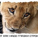 ���� �� �������� ������ ����, ������ - ��������� 14 ������� 2020 � ������ ���� ����������