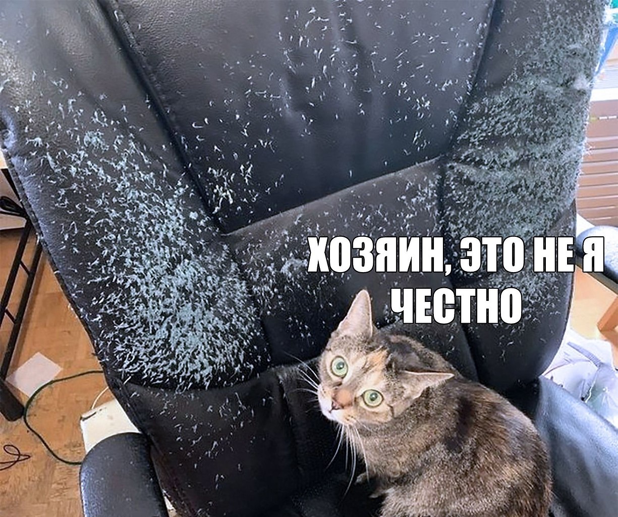    :D - 6  2020  18:44
