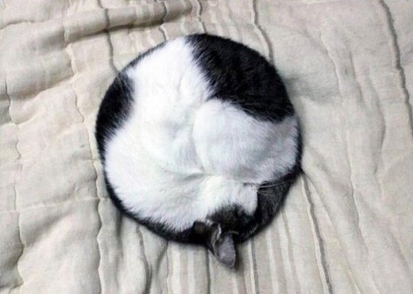  - 2