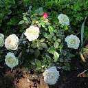 ���� ��������, Kouvola, 78 ��� - ��������� 17 ���� 2020 � ������ ������