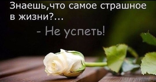 Сегодня посыплются звёзды.С открывших объятья небес… Задумать желанье не поздно, Ведь в жизни немало ...