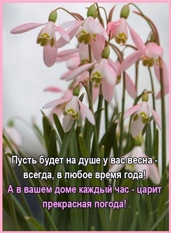   ,    . - 24  2020  20:28