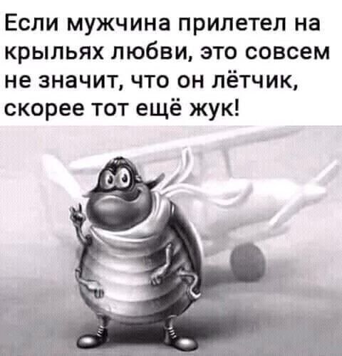  - 8  2020  07:04