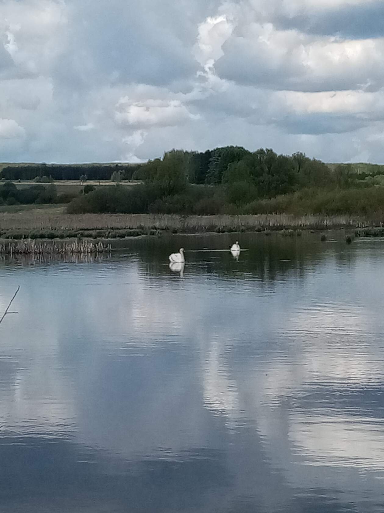  - 17  2020  21:06 - 3