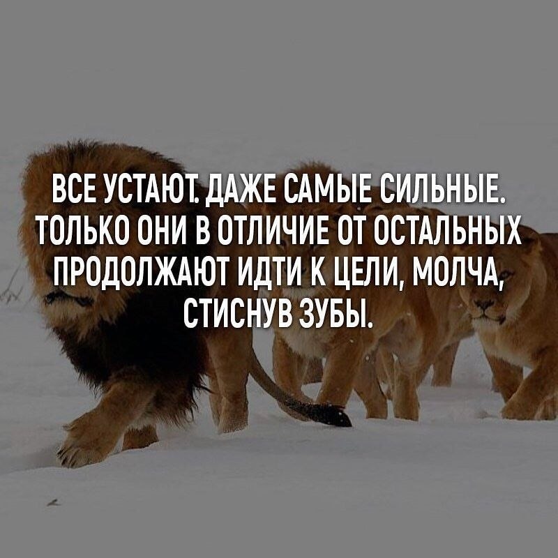 Все устают даже самые сильные. Даже самый сильный. Самые сильные цитаты. Идти к цели.