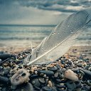  Namiq, , 59  -  23  2020   ֻ