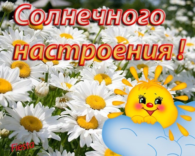   ,    . - 25  2020  14:38