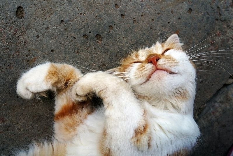 c      x,  p    ... - 3