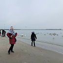 ���� ���������, ����������� - ��������� 7 ������ 2020 � ������ ���� ����������