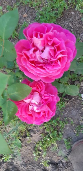  ******** - 28  2020  12:57