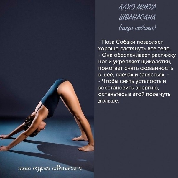  - yoga |jo|.     :    - 3