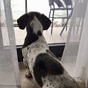 ���� Klarissa, ������, 62 ���� - ��������� 1 ����� 2020 � ������ ���� ����������