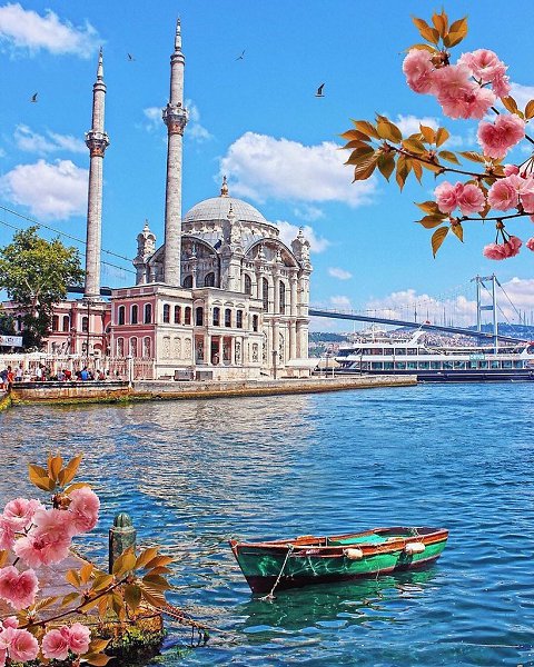 ���������� ����������� �������� ������� - 3